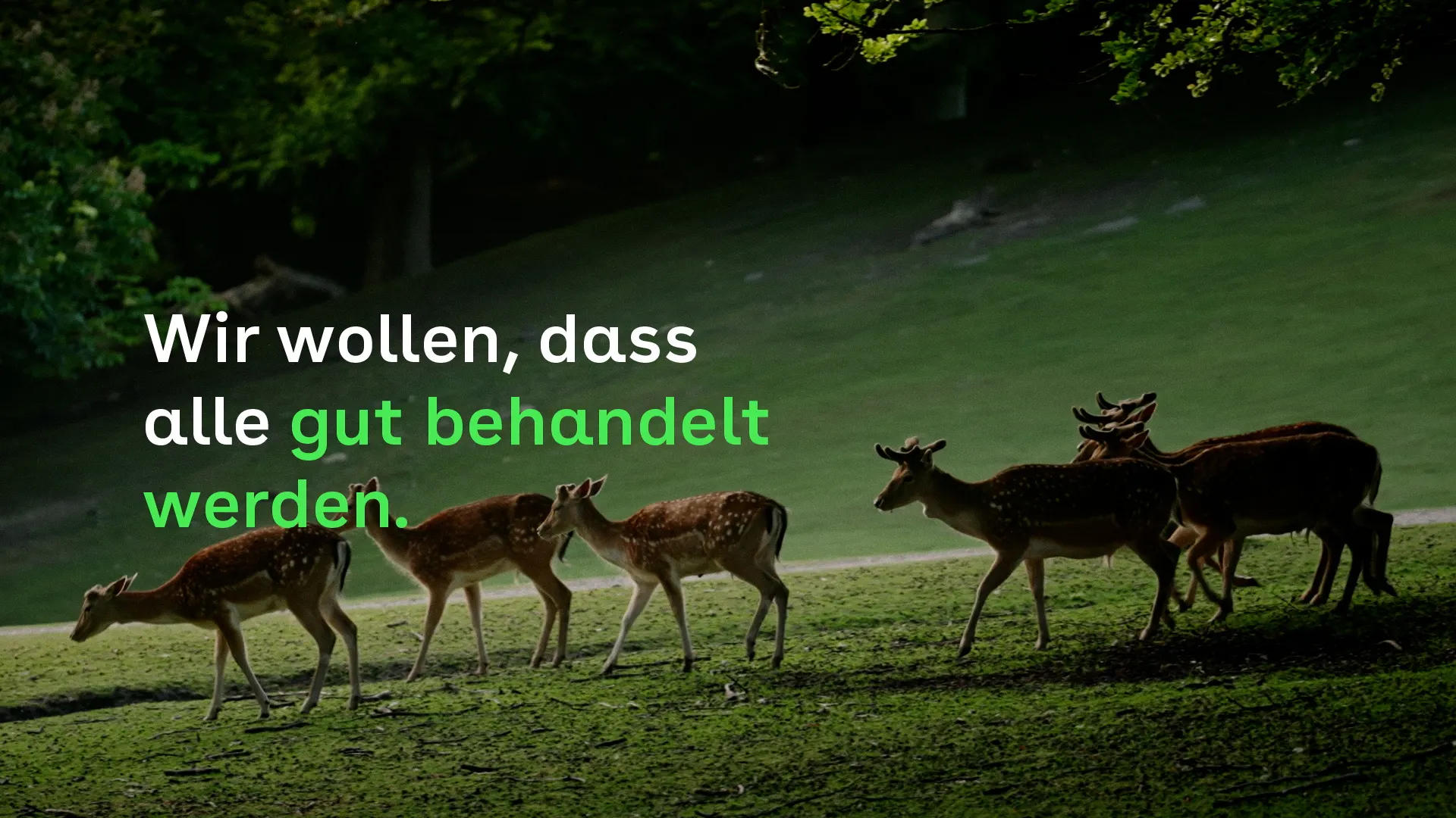 AOK – Für eine gesunde Gesellschaft